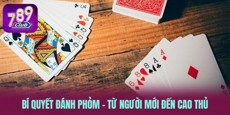 Bí Quyết Đánh Phỏm Hiệu Quả - Từ Người Mới Đến Cao Thủ