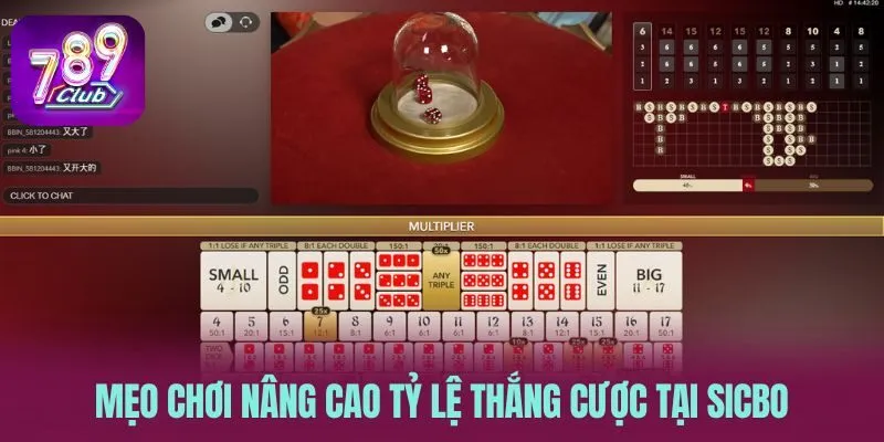Mẹo chơi nâng cao tỷ lệ thắng cược tại sicbo