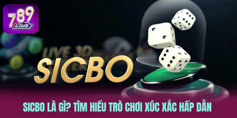 Sicbo là gì? Tìm hiểu trò chơi xúc xắc hấp dẫn bậc nhất