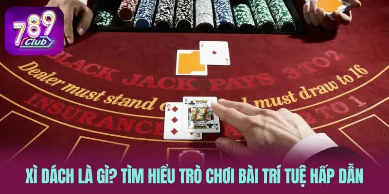 Xì Dách Là Gì? Tìm Hiểu Trò Chơi Bài Trí Tuệ Hấp Dẫn
